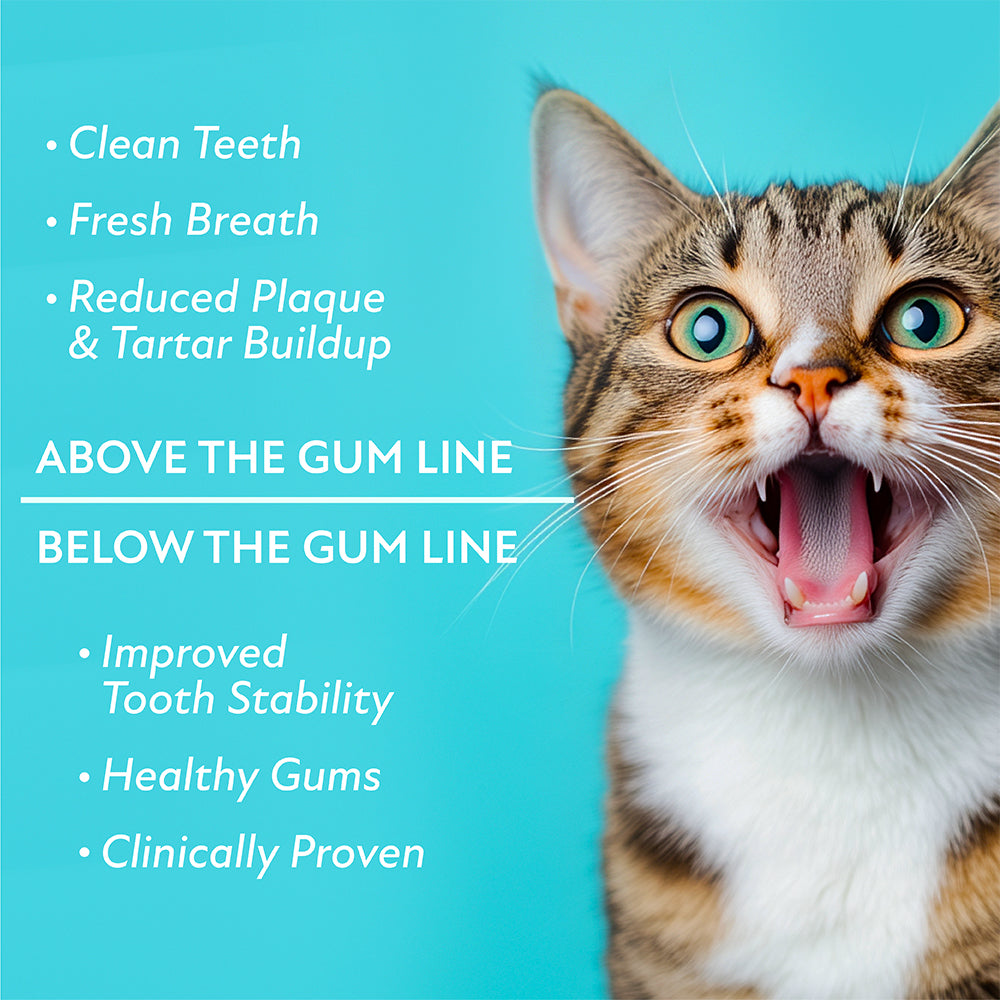 Probesties Complete Oral Care Probiotic Food Topper For Cats